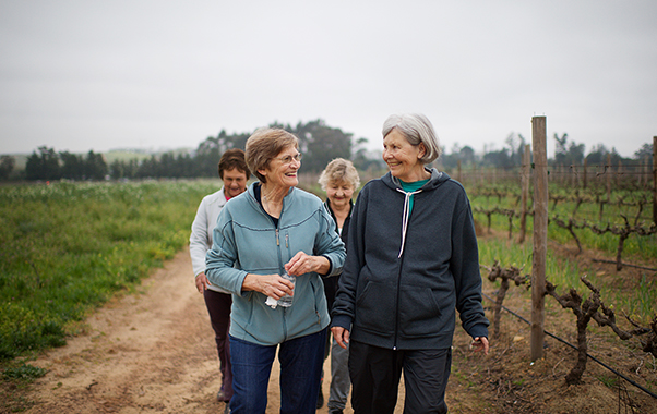 Three women leisurely walking on the vineyard, with greenery and open space surrounding them.